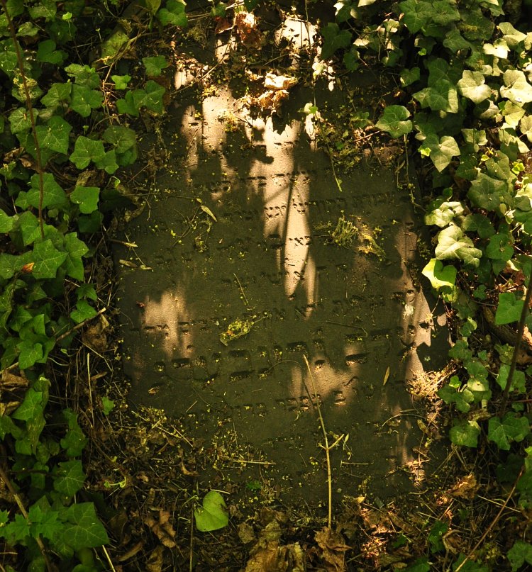 Fotka z cmentarza