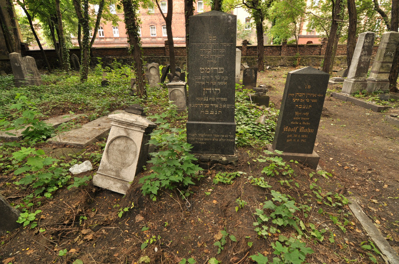 Fotka z cmentarza 2014