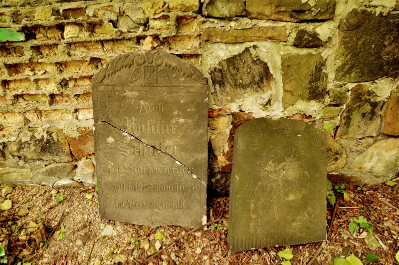 Fotka z cmentarza 2014