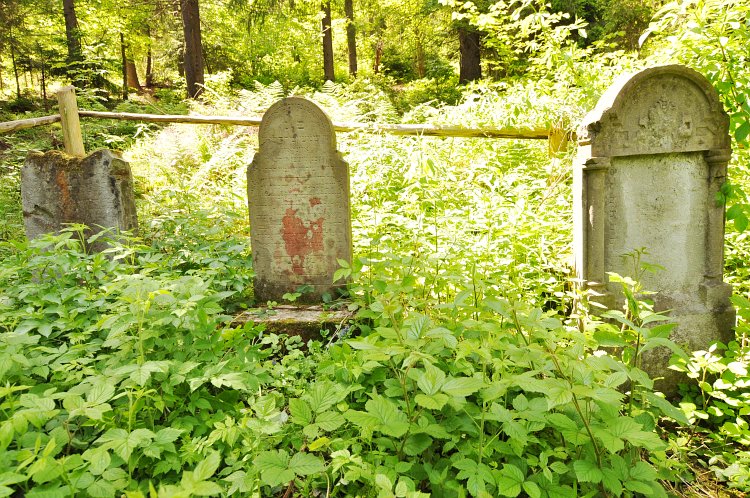 Cemetery - Photo