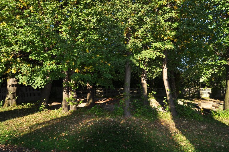Cemetery in Ustroń