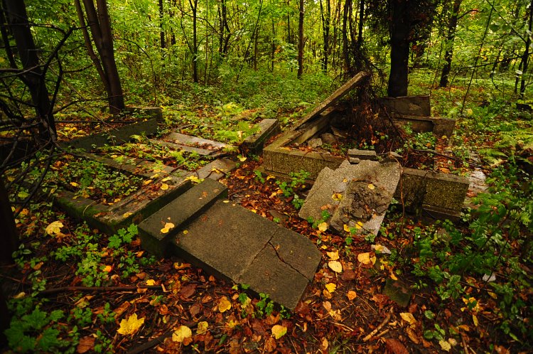 Czechowice-Dziedzice 2009