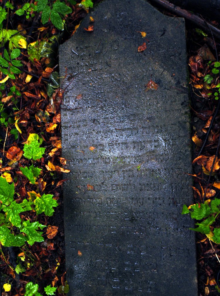 Czechowice-Dziedzice 2009